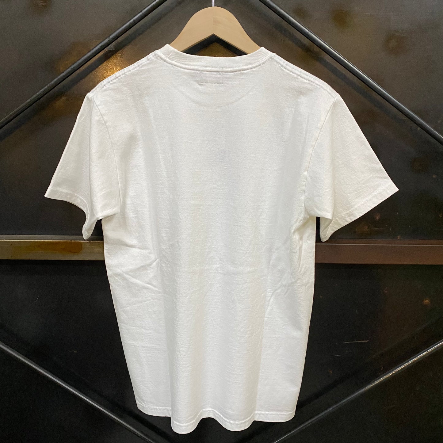 PHERROW'S /フェローズ Pherrow'sロゴ グラデーションプリントTシャツ/24S-PT1-G