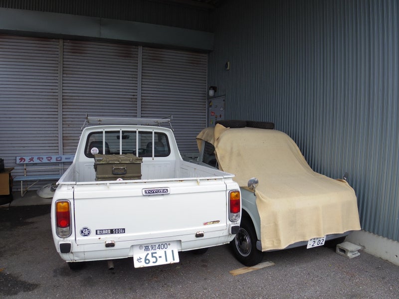 水曜日から通常営業します！