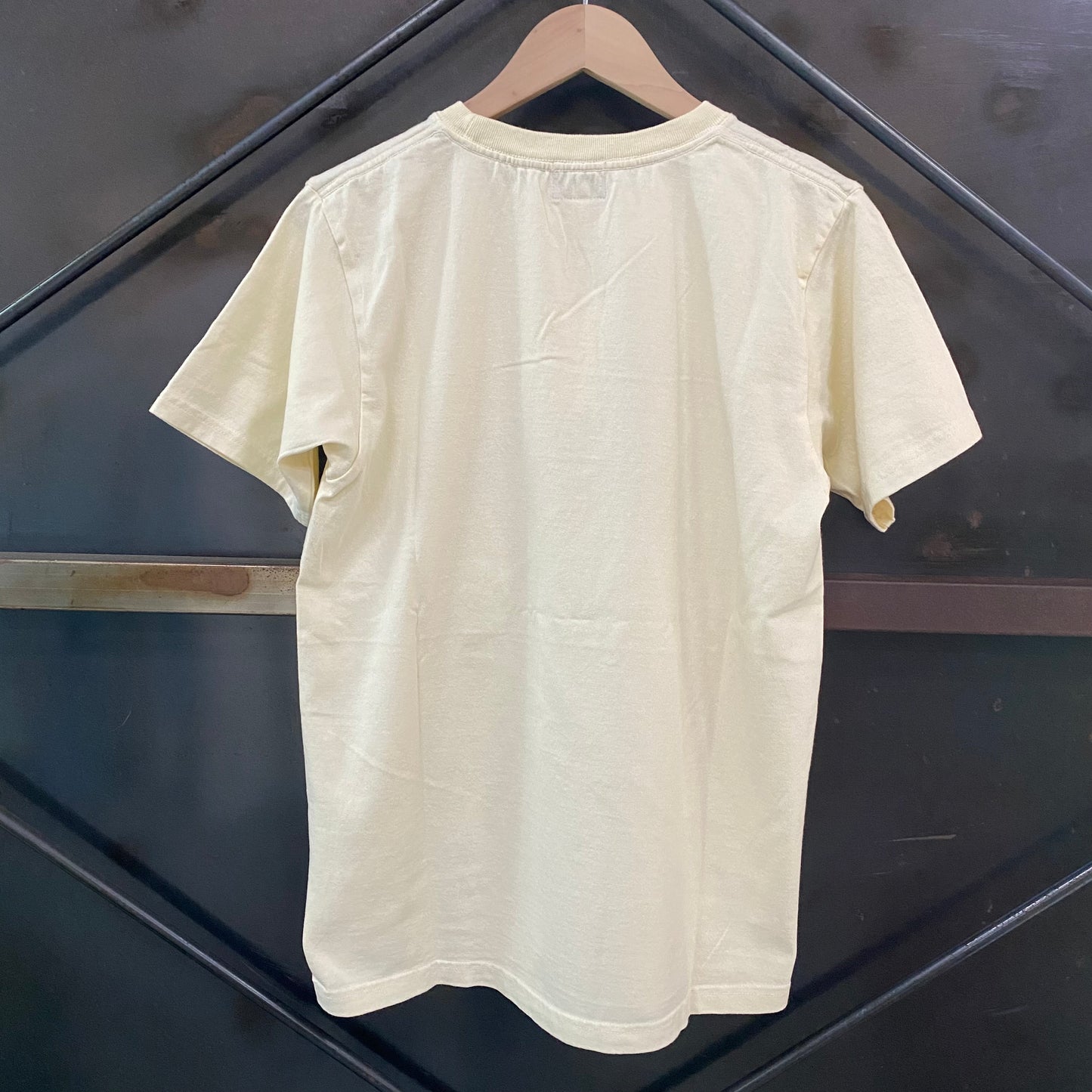 PHERROW'S /フェローズ バッファロー プリントTシャツ/25S-PT19